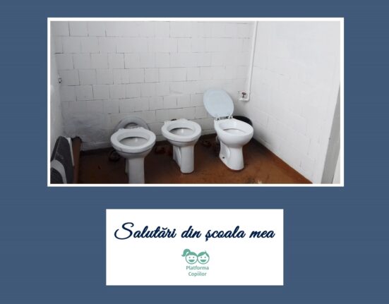 Salutări din școala mea. Condițiile de igienă și sanitație din școli.
