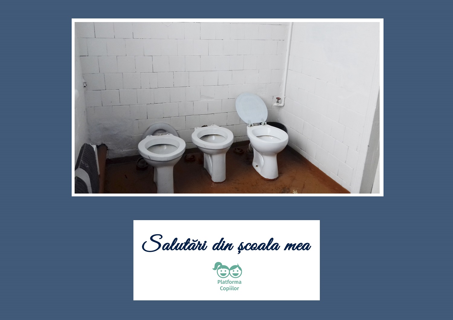 Salutări din școala mea. Condițiile de igienă și sanitație din școli.